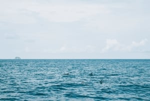 Phuket: 5 wysp – luksusowy katamaran o zachodzie słońca