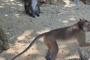 Phuket: Jetski-tur til 7 øer med frokost og transport