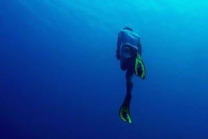 Пхукет: AIDA/SSI/Molchanovs Freediving Level 1–2 дня
