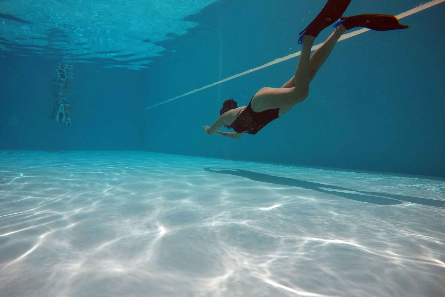 فوكيت: AIDA/SSI/Molchanovs Freediving المستوى 1 - 2 يوم