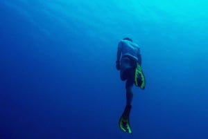 فوكيت: AIDA/SSI/Molchanovs Freediving المستوى 1 - 2 يوم