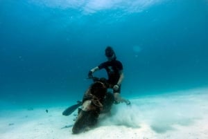 فوكيت: AIDA/SSI/Molchanovs Freediving المستوى 1 - 2 يوم