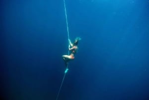 فوكيت: AIDA/SSI/Molchanovs Freediving المستوى 1 - 2 يوم