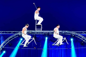 Phuket: Biljetter till Aqua Circus