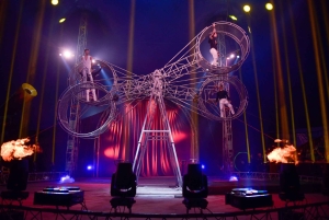 Phuket: Biljetter till Aqua Circus