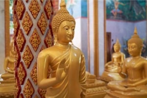 فوكيت: مغامرة مركبة طرق وعرة وحديقة الطيور في فوريست فيو بيغ بوذا