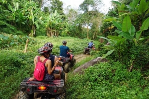 Phuket: ATV Adventure with Big Buddha Viewpoint Option