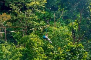 Phuket Aventura en quad y tirolina Visita al Gran Buda