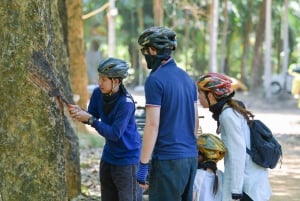 Phuket: ATV-tour mangrovejungle & verborgen stranden