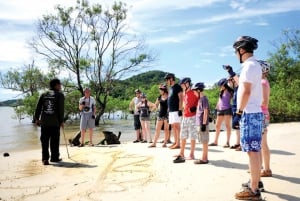 Phuket: ATV mangrove-viidakko & salainen ranta -kierros