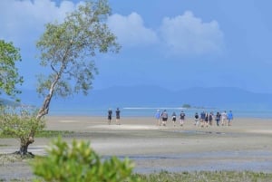 Phuket: ATV-tur i mangrovejunglen og på den skjulte strand