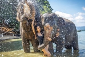 Phuket: ATV Ride with Khai Islands and Elephant Bathing