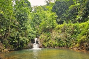 Phuket: Bamboo Rafting and Sea Turtle Conservation Day Trip