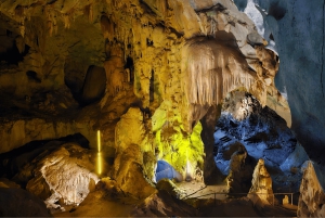 Phuket: Bamboo Rafting and Sea Turtle Conservation Day Trip