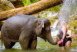 Phuket : Rafting en bambou, VTT (en option), bain d'éléphants.