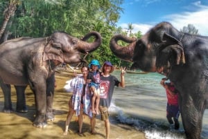 Phuket: Bamboo Rafting, ATV (optional), Elefantenbaden.