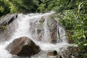 プーケット：バンブー ラフティング、モンキー ケーブ、ATV オプション