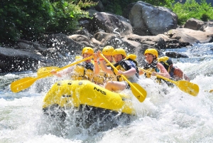 푸켓 코끼리 목욕과 대나무 & 수상 래프팅