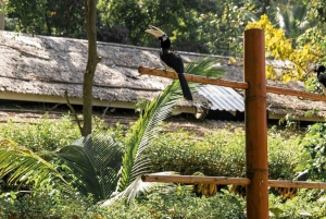 Пхукет: Знакомство с островом Банана Бич на скоростном катере с обедом