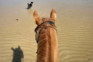 Avventura a cavallo sulla spiaggia di Phuket