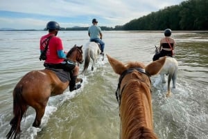 Avventura a cavallo sulla spiaggia di Phuket