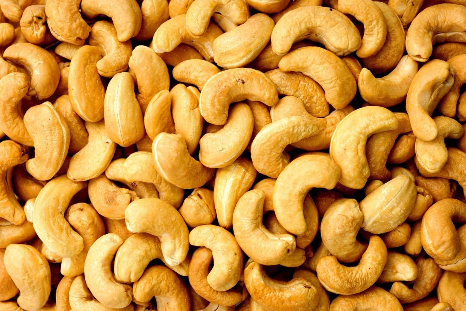 푸껫 빅 부다 시티 투어 + 라이언 랜드 & 전지형차(ATV) + 투어 가이드