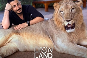 푸껫 빅 부다 시티 투어 + 라이언 랜드 & 전지형차(ATV) + 투어 가이드