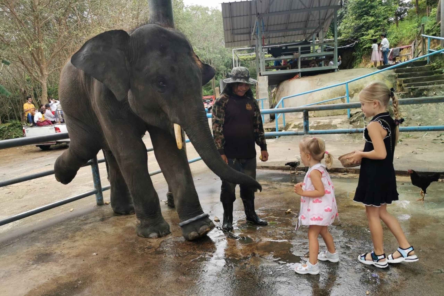 Phuket Big Buddha byrundvisning + Lion Land med turguide