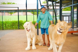 Phuket Big Buddha byrundvisning + Lion Land med turguide