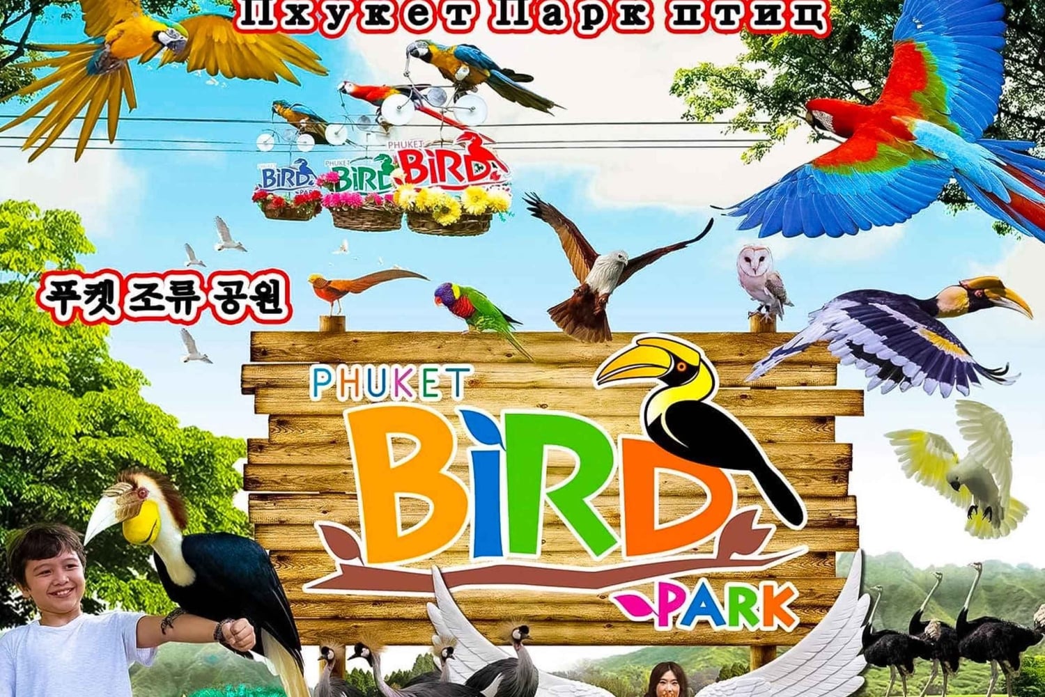 푸켓: 새 공원, 코끼리 먹이 주기, 전지형차(ATV) 탑승 & 시티 투어