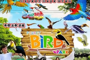 푸켓: 새 공원, 코끼리 먹이 주기, 전지형차(ATV) 탑승 & 시티 투어