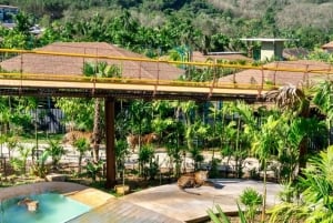 푸켓: 새 공원, 코끼리 먹이 주기, 전지형차(ATV) 탑승 & 시티 투어