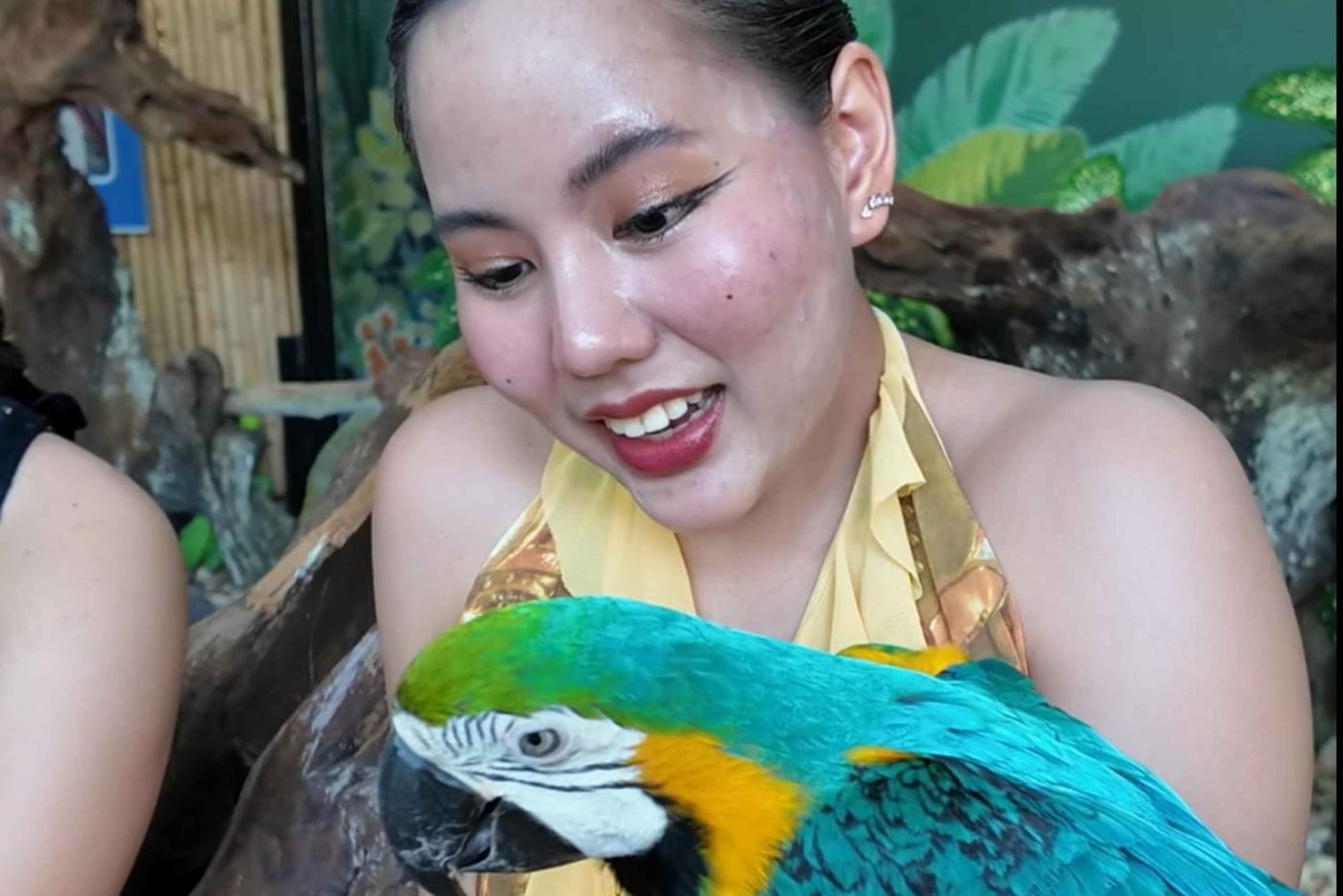 Phuket: Ticket de entrada al Parque de las Aves