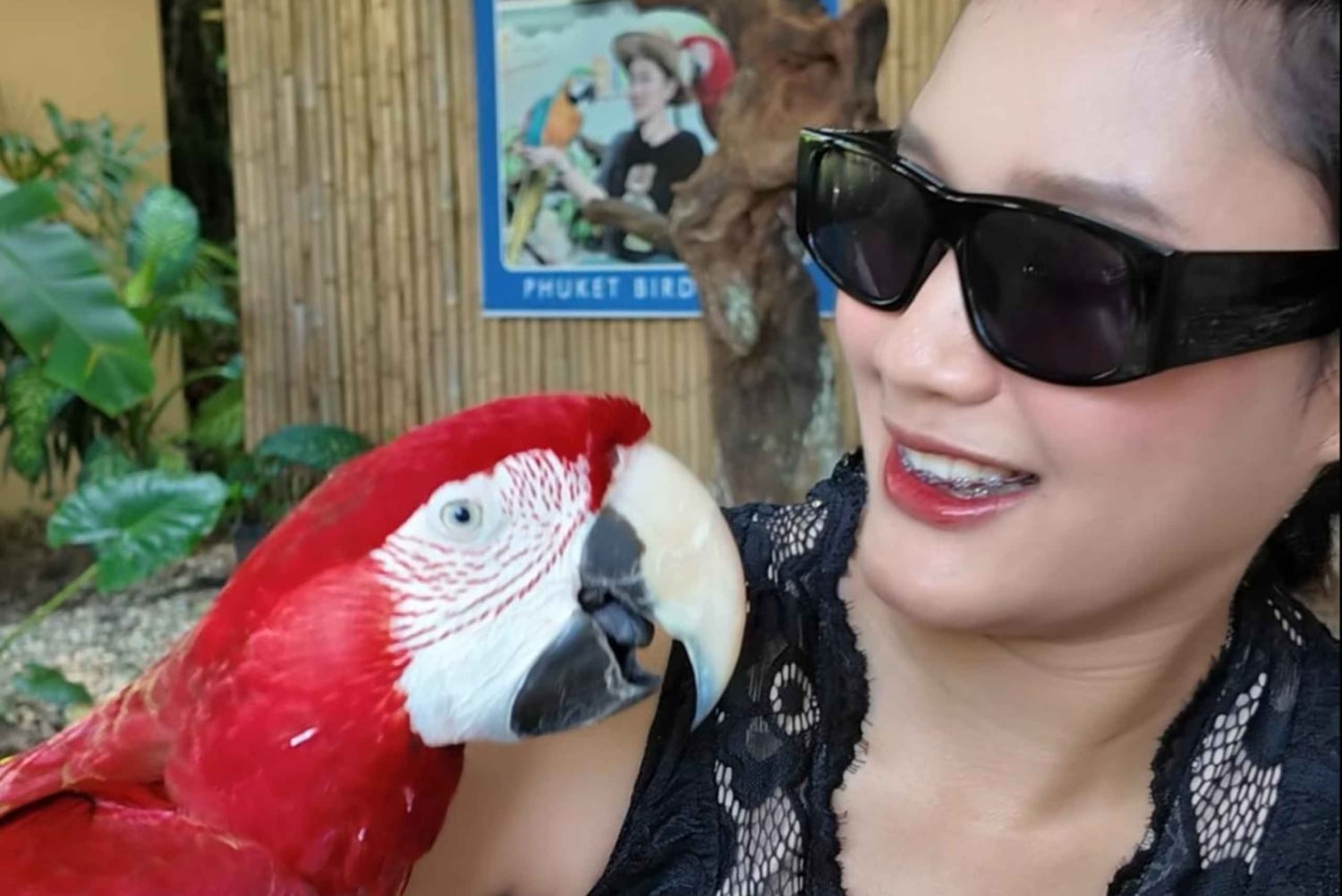 Phuket: Ticket de entrada al Parque de las Aves