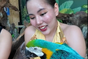 Phuket: Ticket de entrada al Parque de las Aves