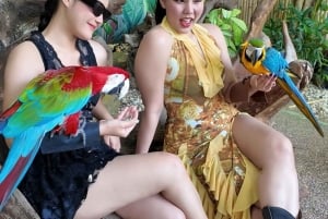 Phuket: Ticket de entrada al Parque de las Aves