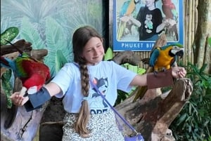 Phuket: Ticket de entrada al Parque de las Aves