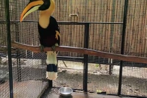Phuket: Ticket de entrada al Parque de las Aves