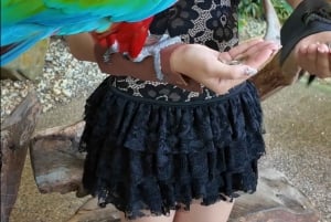 Phuket: Ticket de entrada al Parque de las Aves