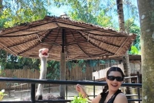 Phuket: Ticket de entrada al Parque de las Aves