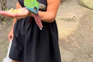 Phuket: Ticket de entrada al Parque de las Aves