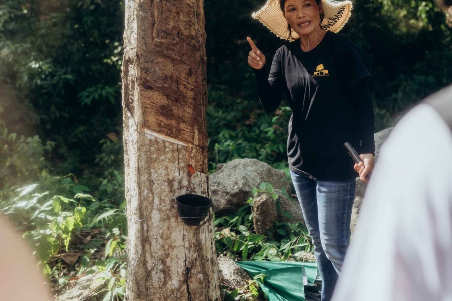 Phuket: Bukit Elephant Park Sanctuary Tour with Lunch