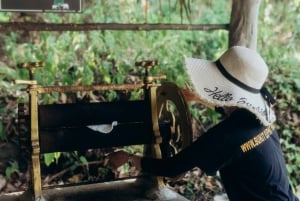 Phuket: Bukit Elephant Park Sanctuary Tour with Lunch