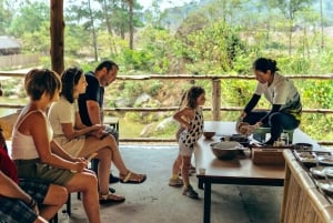 Phuket: Bukit Elephant Park Sanctuary Tour with Lunch