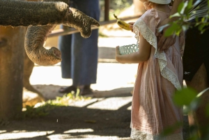 Phuket: Bukit Elephant Park Sanctuary Tour with Lunch