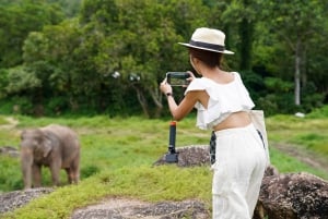 Phuket: Bukit Elephant Park Sanctuary Walk and Feed Tour