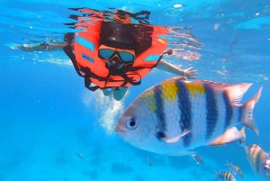 Phuket: Catamaran Cruise to Promthep Cave with Sunset Dinner