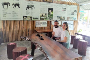 Phuket: Cheow Lan Lake Overnatning med Elephant Day Care
