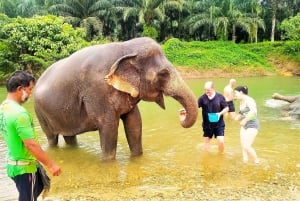 Phuket: Cheow Lan Lake Overnight with Elephant Day Care