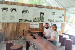 푸켓: 코끼리 데이 케어와 함께하는 츄란 호수 하룻밤